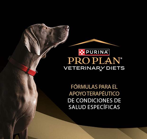 PURINA&reg; PRO PLAN&reg; | Alimentos terape&uacute;ticos para perros | Best for Pets