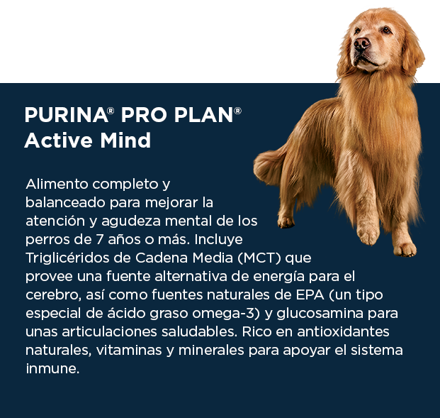 PURINA&reg; PRO PLAN&reg; Active Mind | Best for Pets