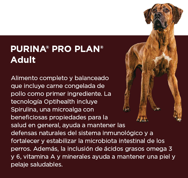 PURINA&reg; PRO PLAN&reg; Adult | Best for Pets