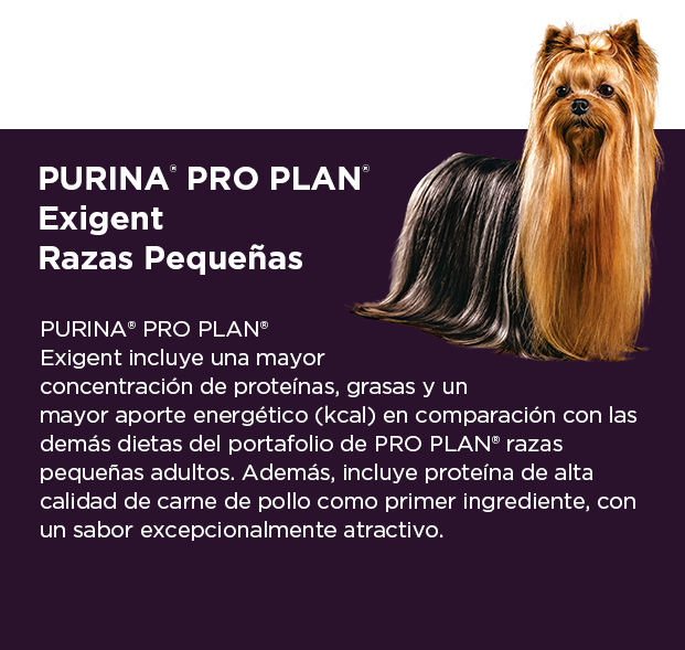 PURINA&reg; PRO PLAN&reg; Exigent Razas Peque&ntilde;as | Best for Pets
