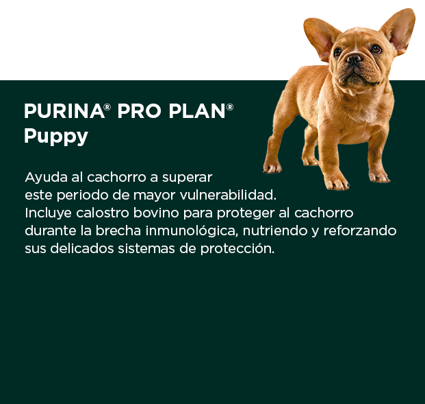 PURINA&reg; PRO PLAN&reg; Puppy | Best for Pets