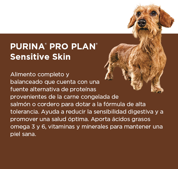 PURINA&reg; PRO PLAN&reg; Sensitive Skin | Best for Pets