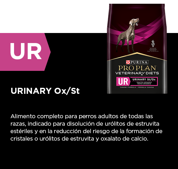 PURINA&reg; PRO PLAN&reg; URINARY Ox/St | Best for Pets