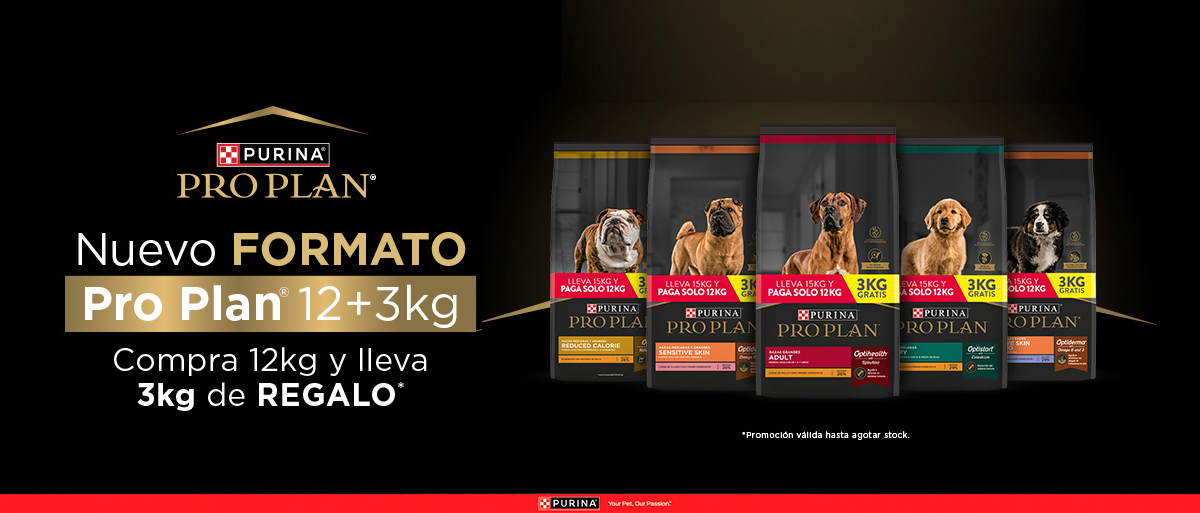 PURINA&reg; PRO PLAN&reg; | Alimentos Para Gatos | Best For Pets