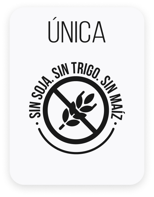 Nutrique, unico alimento sin soja. sin trigo y sin maiz