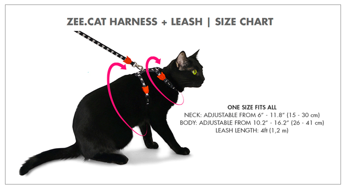 medidas Zee Cat harness