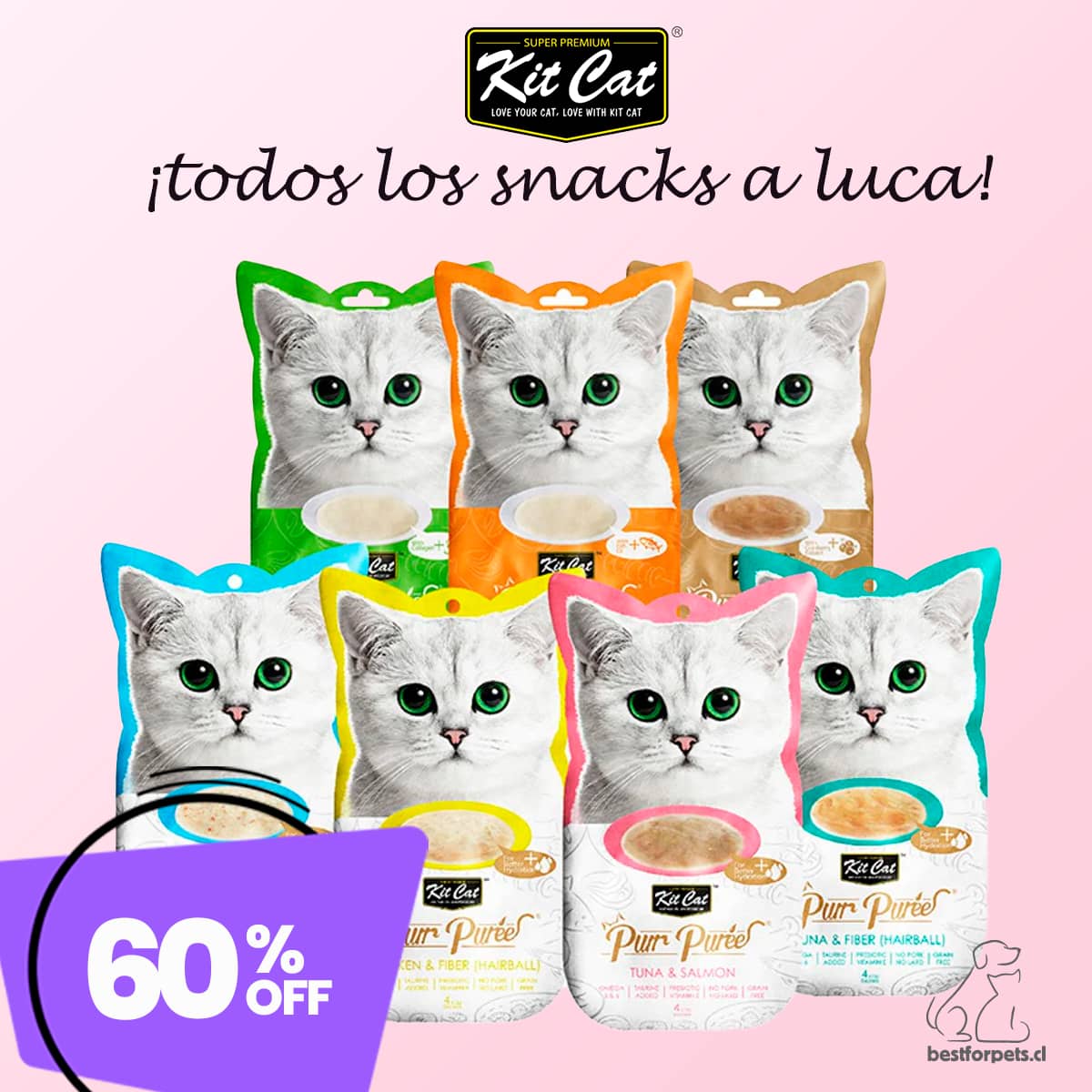 60% de descuento en snacks KITCAT para gatos | Best for Pets