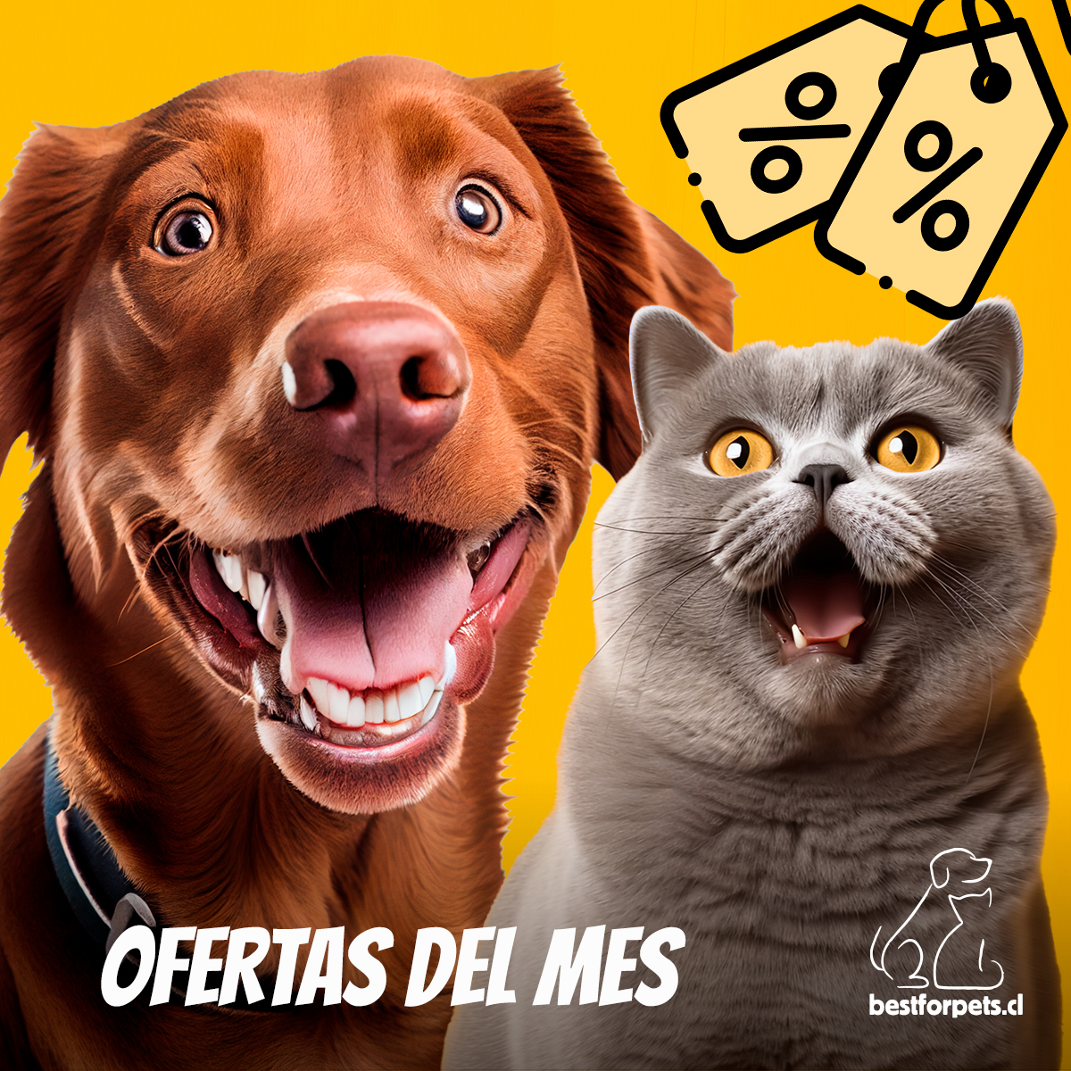 Ofertas del mes | Best for Pets
