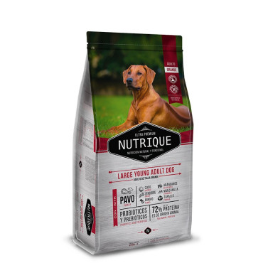 NUTRIQUE LARGE YOUNG ADULT