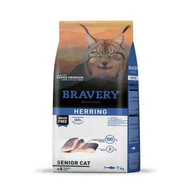 BRAVERY - HERRING SENIOR CAT