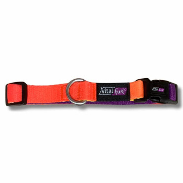 VITALFUN COLLAR GEO FLUO