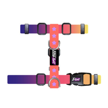 VITALFUN ARNÉS H GEO FLUO