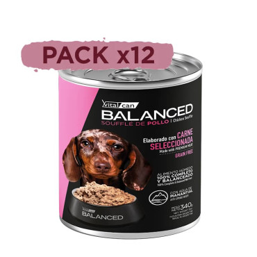 BALANCED SOUFFLE DE POLLO - PERRO CACHORRO
