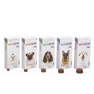 BRAVECTO ANTIPARASITARIO MASTICABLE
