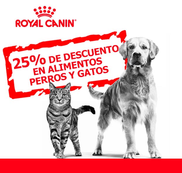 25% OFF Alimentos Royal Canin | Best for Pets